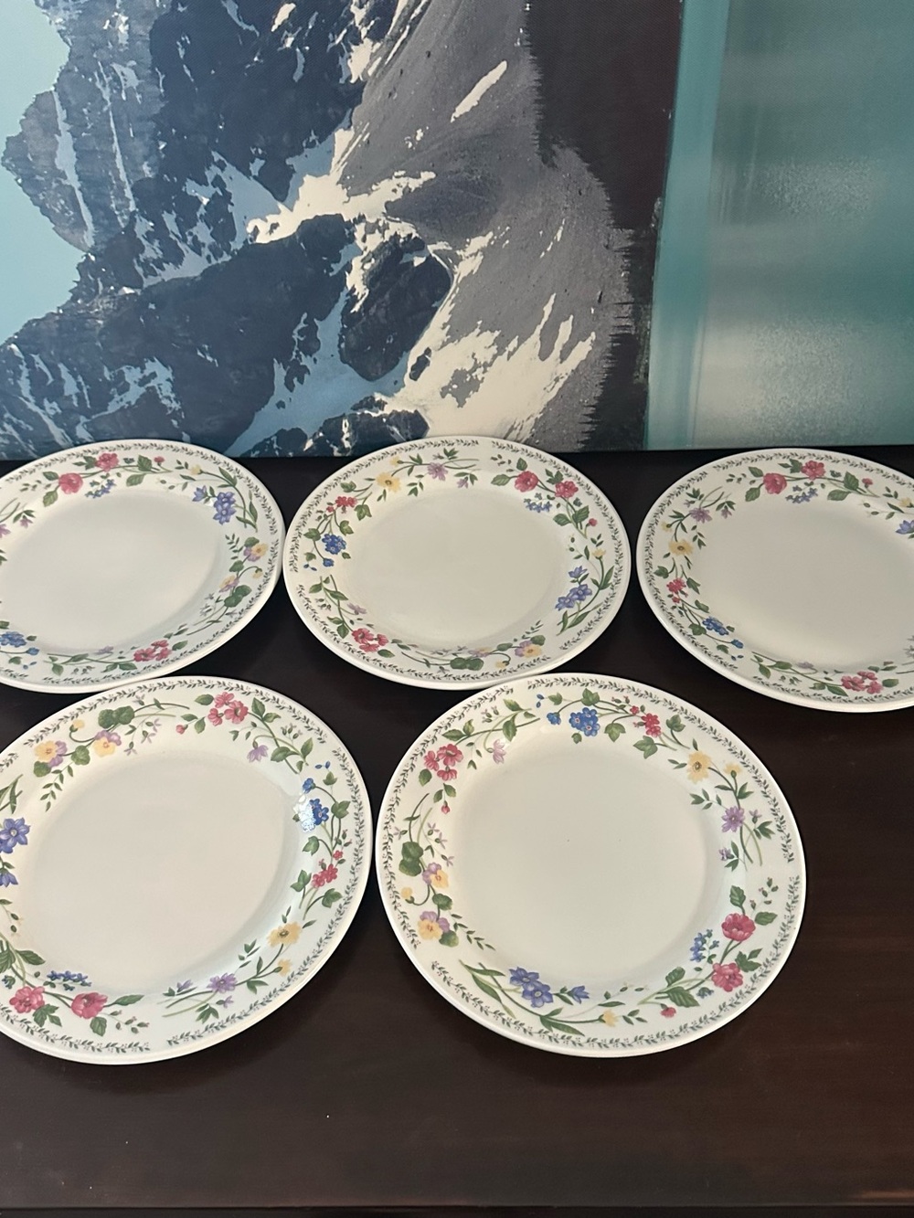 Farberware White Ceramic salad Plates with Multicolor Floral Border - Set of 5